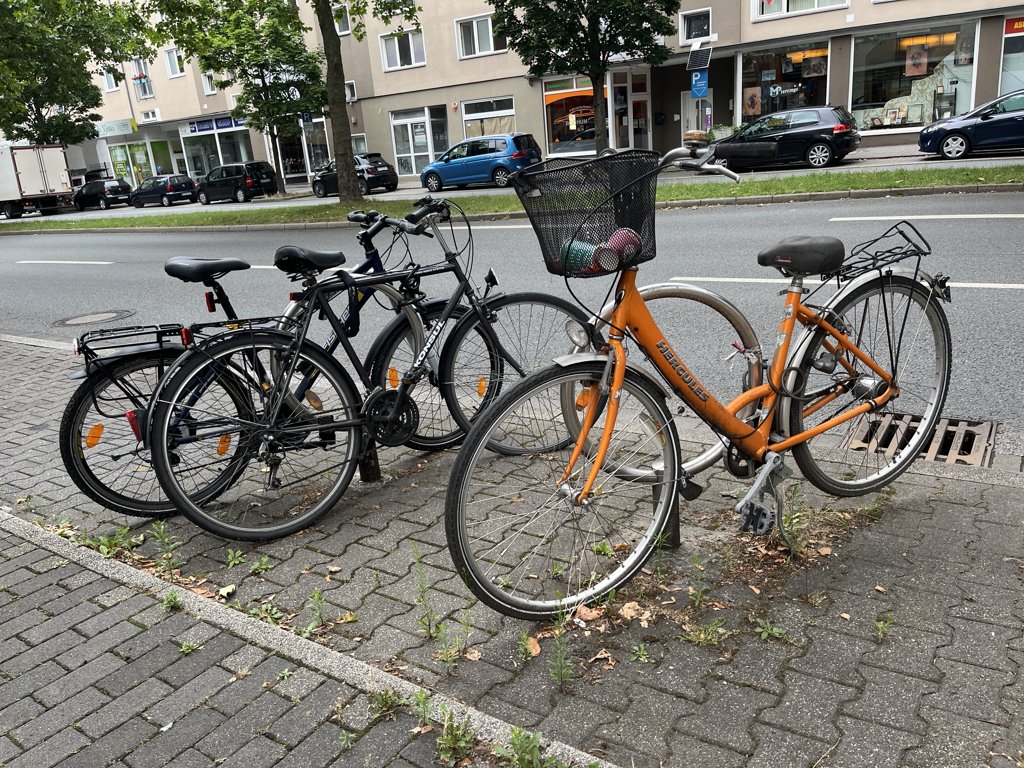 Bild zur Meldung