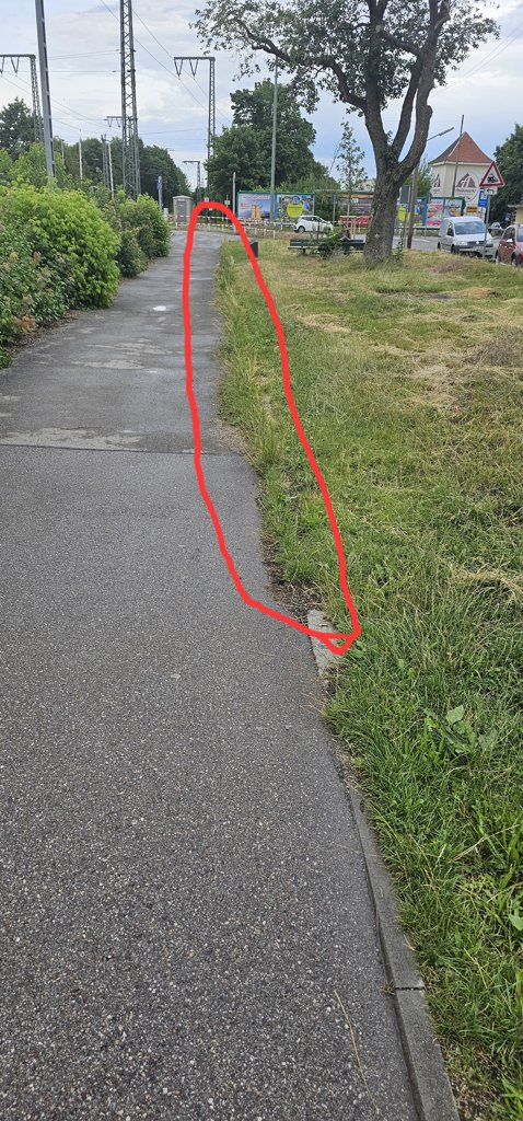 Bild zur Meldung