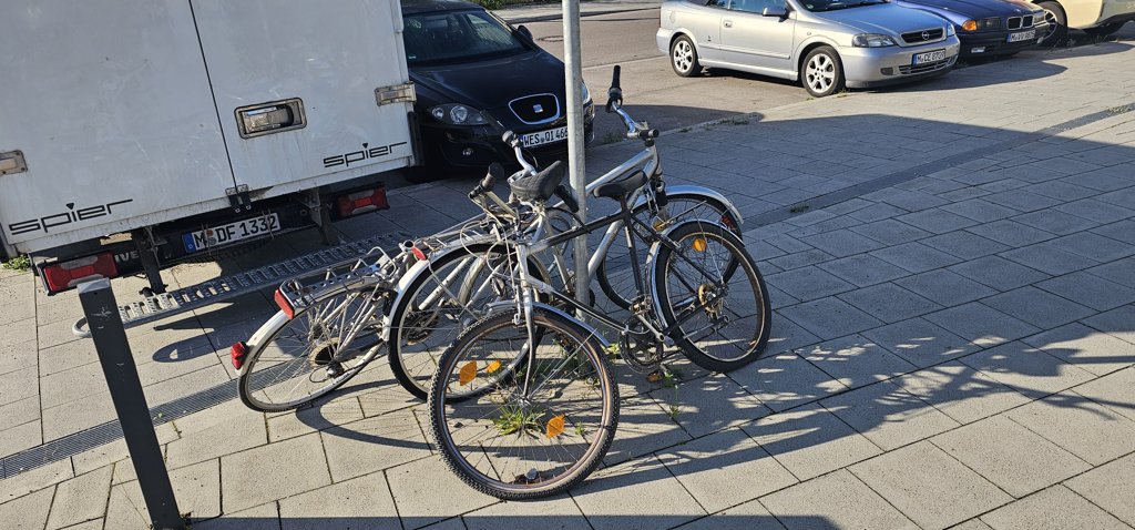 Bild zur Meldung