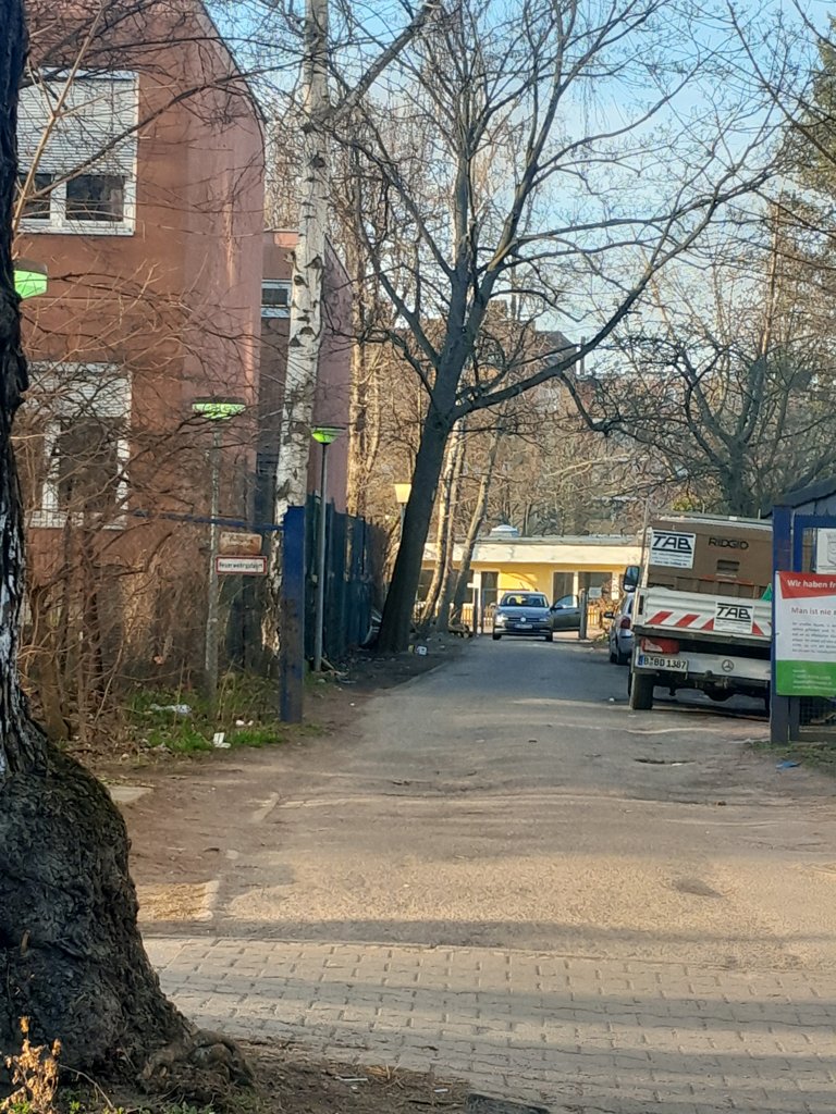 Bild zur Meldung