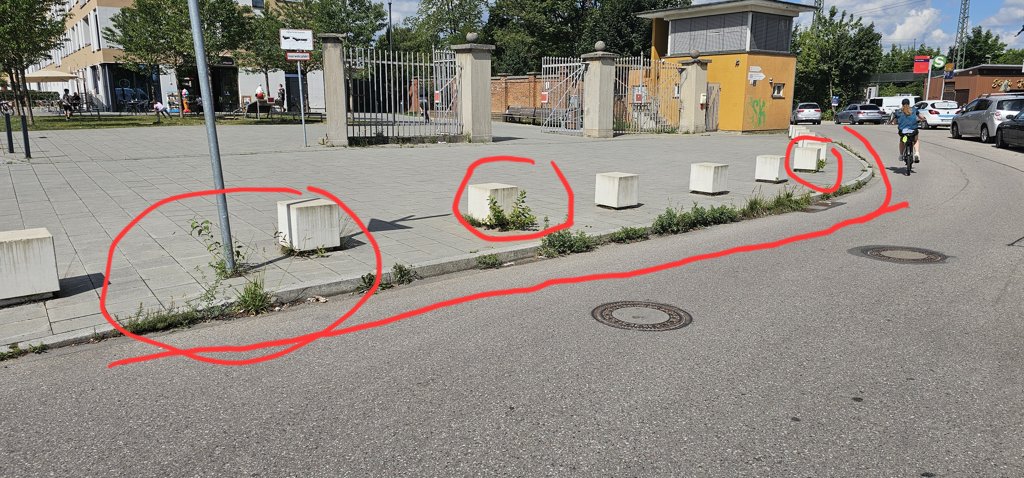 Bild zur Meldung